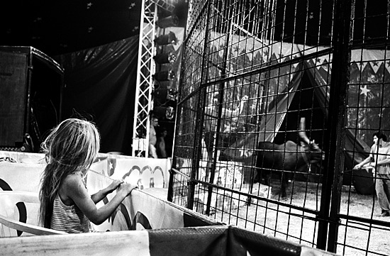 auteur: Sofia Quintas