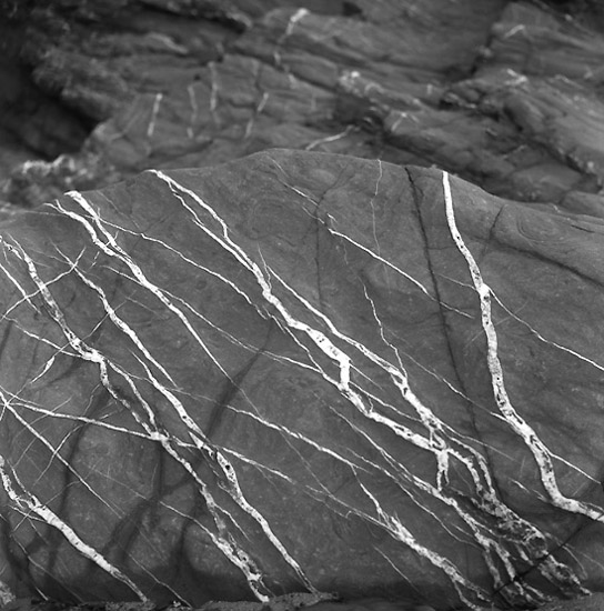 autor: Manuel Luís Cochofel