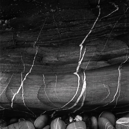 autor: Manuel Luís Cochofel