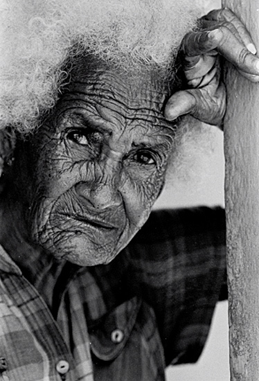 autor: José Silva Pinto
t&iacute;tulo: O Olhar