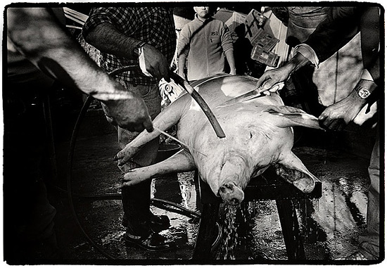 autor: Stefan Rohner
t&iacute;tulo: 6