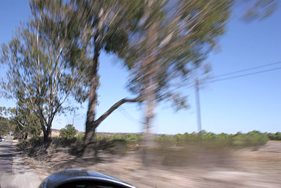 autor: Sofia Quintas