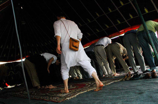 autor : Patricia Moreira                    