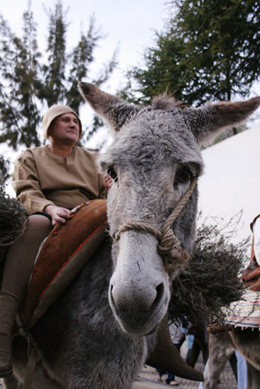 auteur: Sofia Quintas