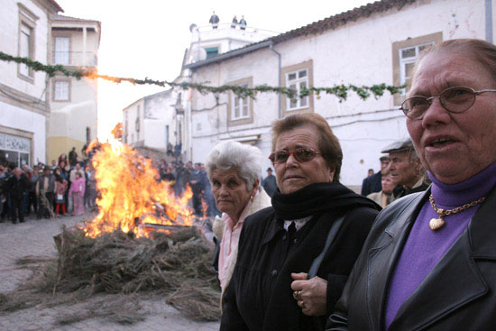 auteur: Sofia Quintas