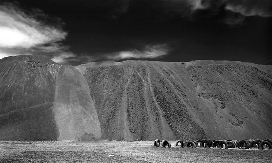 autor: Manuel Luís Cochofel