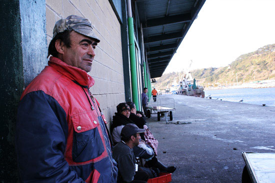 autor: Sofia Quintas