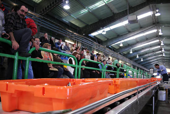 autor: Sofia Quintas