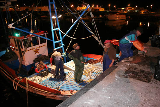 autor: Sofia Quintas