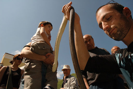 auteur: Patricia Moreira