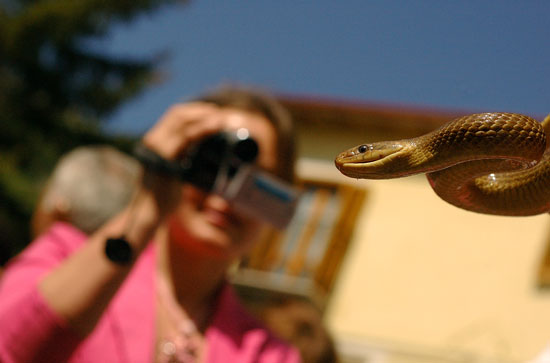 auteur: Patricia Moreira