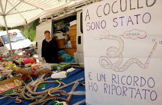 auteur: Patricia Moreira