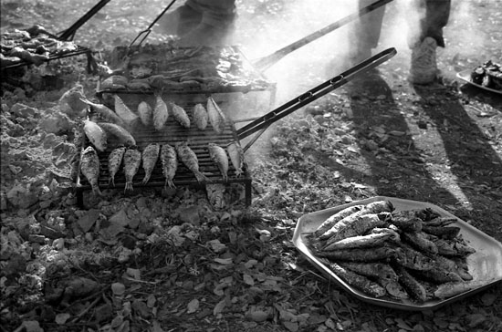 autor : Marcin Gorski                    