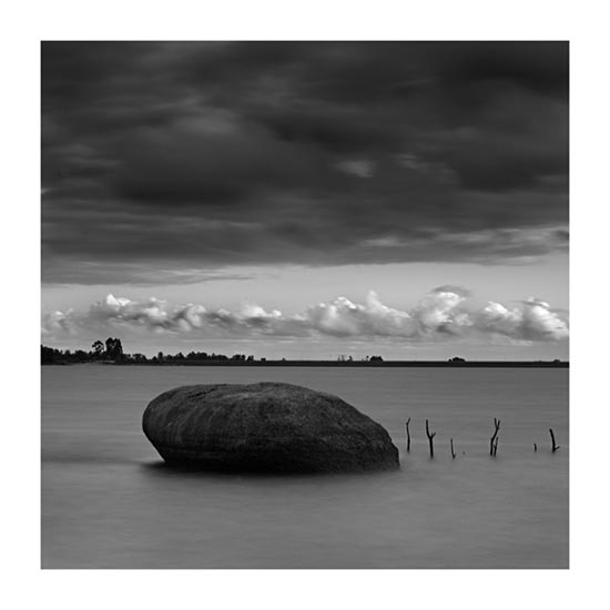 autor: Carlos Matos
t&iacute;tulo: estruturas&coberturas-XX