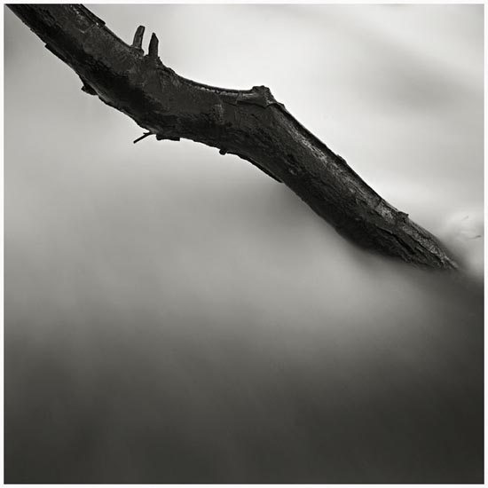 autor: Carlos Matos
t&iacute;tulo: MarcaDágua#1