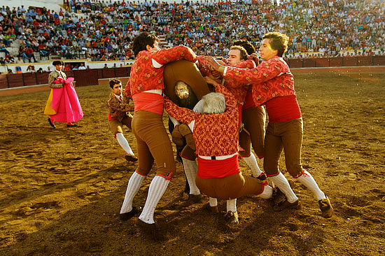 autor: Joost De Raeymaeker