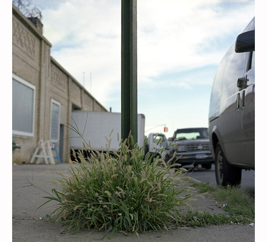 author: Rui Dias Monteiro