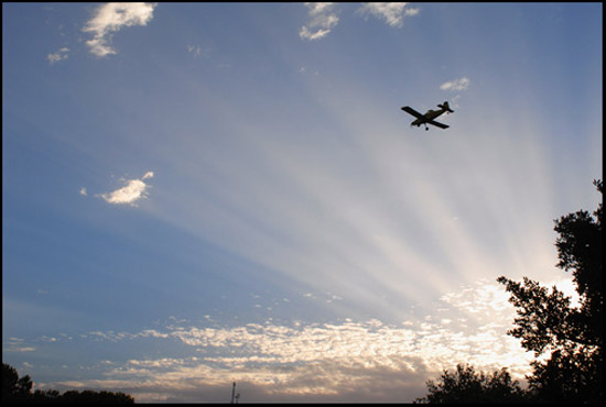 autor: Bruno Rascão
t&iacute;tulo: A morte do Miliciano de Capa na Guerra Civil de Espanha