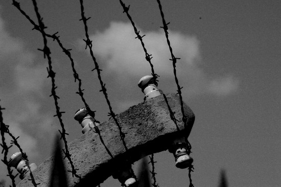 author : João Varela                    