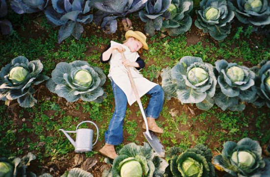 autor: Jan Von Holleben
t&iacute;tulo: The Gardener