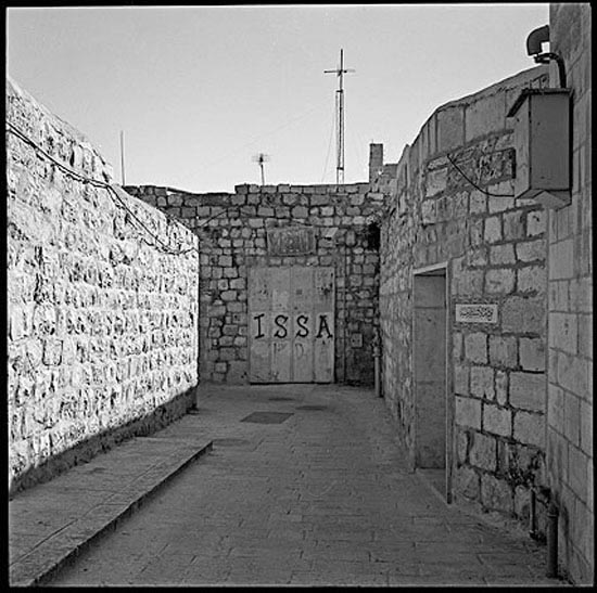 autor: Damien Lafargue