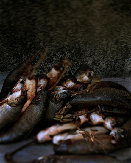 autor: Cláudio Edinger