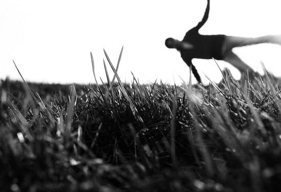 autor: Natasha Gudermane