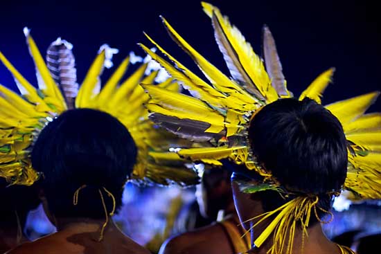 autor: Tatiana Cardeal