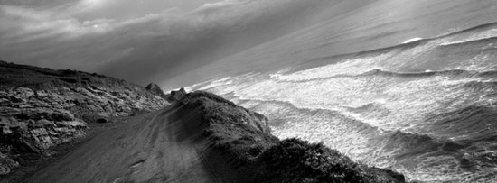 autor : Luísa Ferreira                    