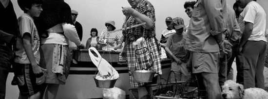 autor: Luísa Ferreira