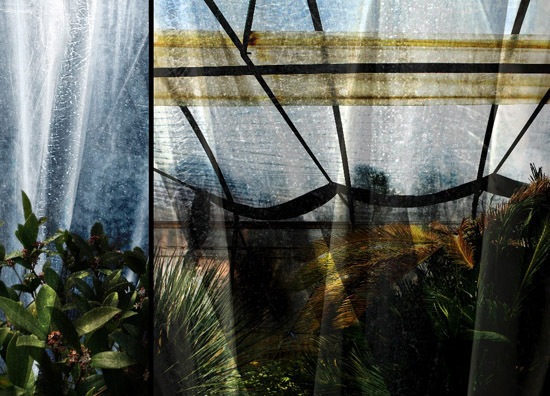 autor: Raoul Iacometti
t&iacute;tulo: Greenhouse 2008