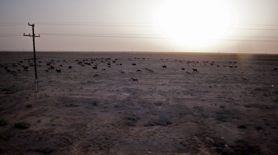 autor: Joost De Raeymaeker
t&iacute;tulo: Between Bukhara and Taschkent