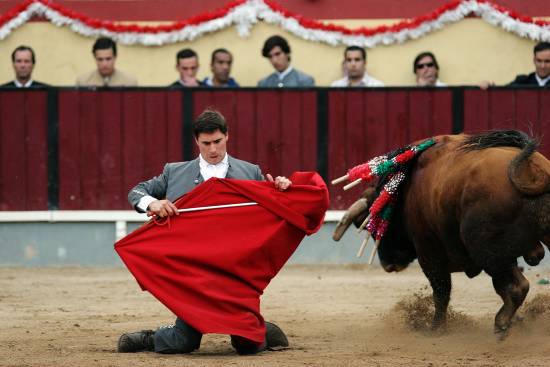 autor: Sofia Quintas