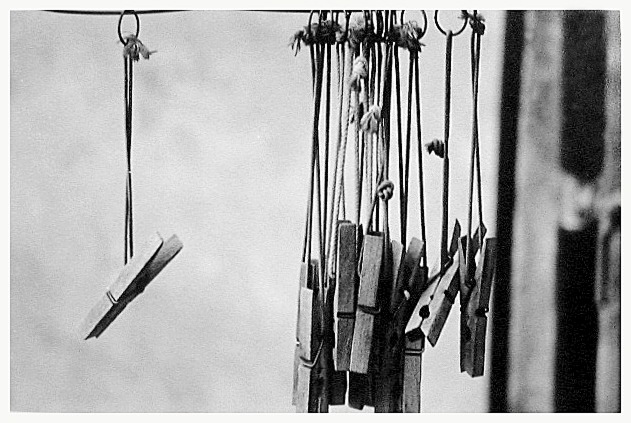 autor: João Varela
t&iacute;tulo: Pauta