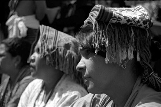 autor : Sofia Quintas                    