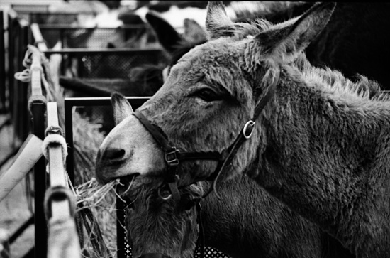 author : paulo rodrigues                    