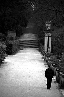 autor: Sofia Quintas