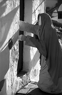 auteur: Sofia Quintas