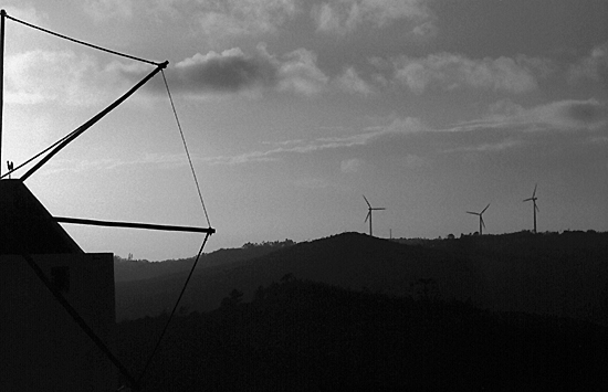 autor: Sofia Quintas