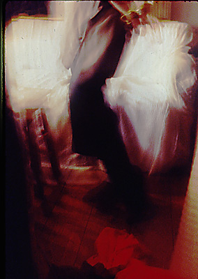 autor: Ana Ribeiro dos Santos