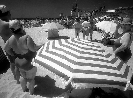 author: Manuel Luís Cochofel