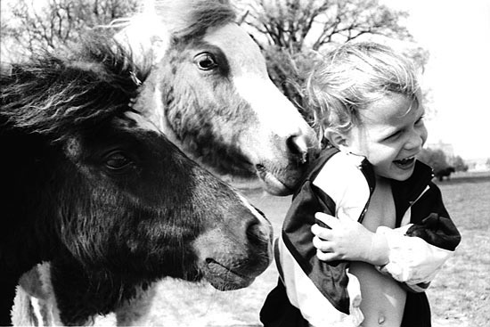 autor: Daniel Navarro