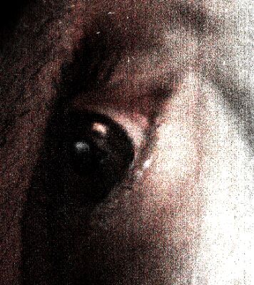 autor : paulo rodrigues                    