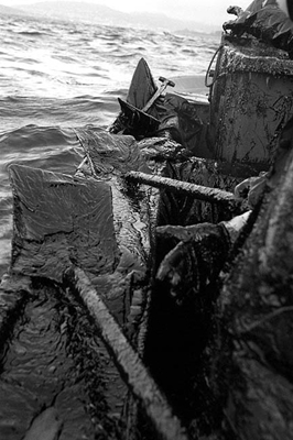 auteur : João  Carvalho Pina                    