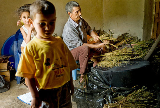 autor: Stefan Rohner