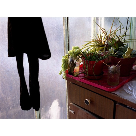 autor : Rui Dias Monteiro                    