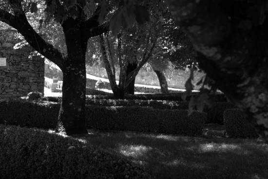 autor: paulo rodrigues