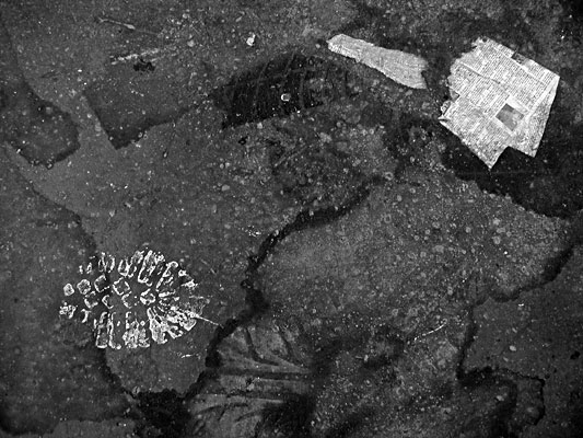 autor: Alain-Gilles Bastide
t&iacute;tulo: Le coin des soupeurs