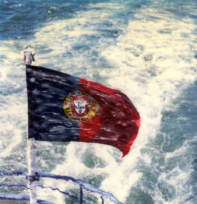 autor: José Gonçalves
t&iacute;tulo: A Portuguesa