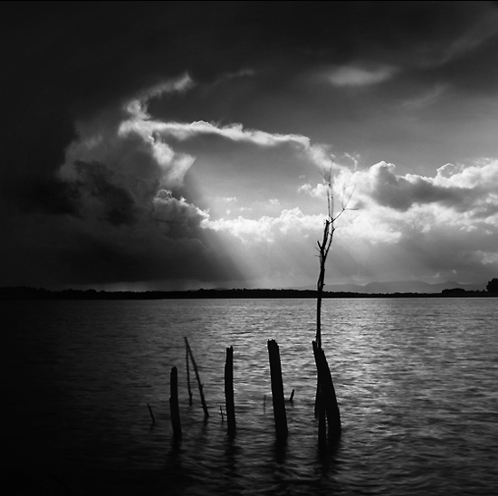 author : Manuel Luís Cochofel                    